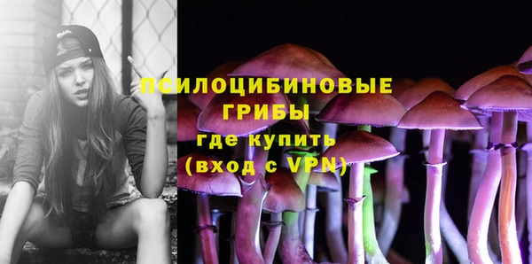 метадон Абаза