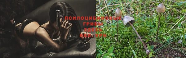 метадон Абаза