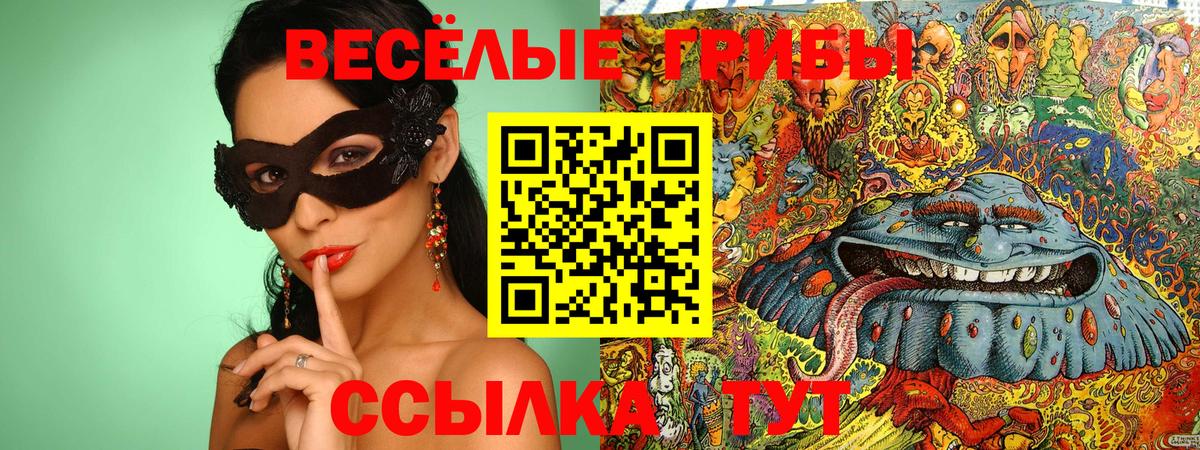 Галлюциногенные грибы GOLDEN TEACHER  Вход с VPN  Галлюциногенные грибы Psilocybine cubensis  Фурманов 