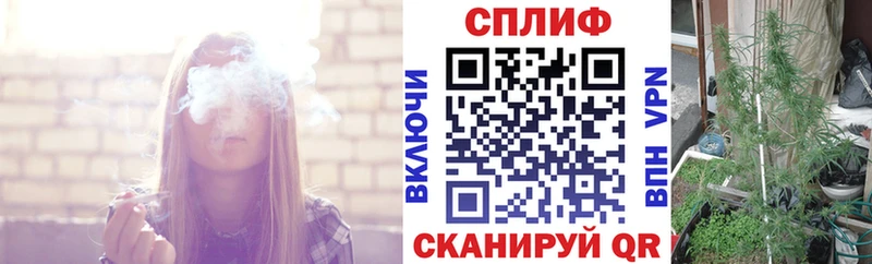 Канабис SATIVA & INDICA  Фурманов 